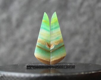 Blue opal Petrified wood pair