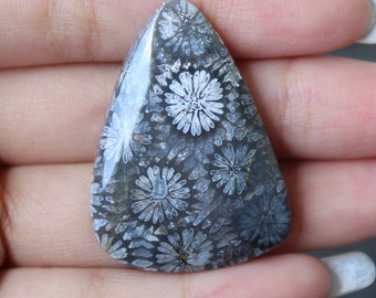 Fossil coral cabochon