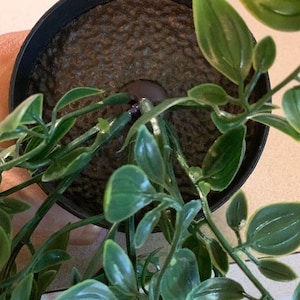 May include: A potted artificial plant with green leaves in a black pot. The plant is in a close-up view, and the leaves are in focus.