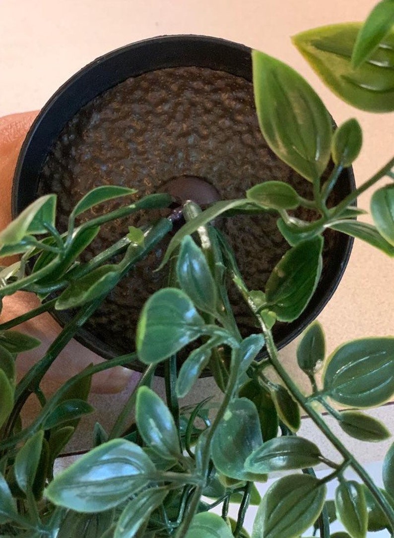 May include: A potted artificial plant with green leaves in a black pot. The plant is in a close-up view, and the leaves are in focus.