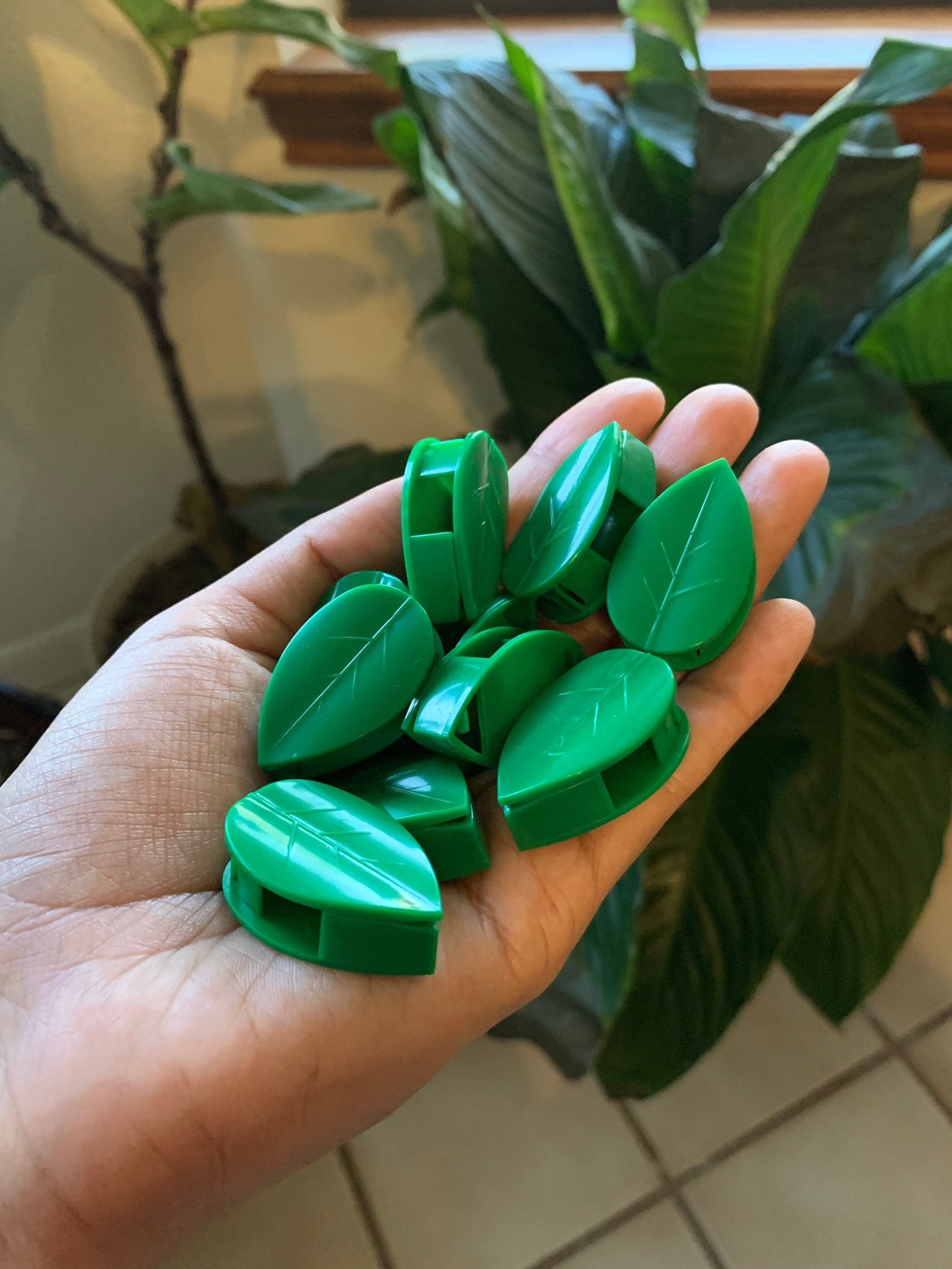 Plant Clips for Climbing Plants Plant Trellis Indoor Hanging Etsy