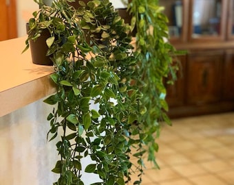 Planta colgante pequeña, decoración con plantas falsas, planta colgante artificial, plantas en maceta para escritorio, regalo en maceta, plantas falsas para pared, maceta para plantas de interior