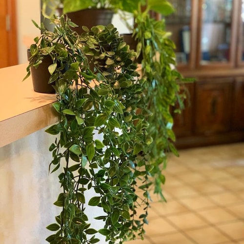 Small Hanging Plant Fake Plants Decor Artificial Trailing Etsy