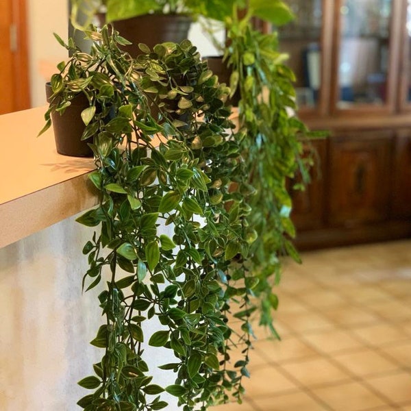 Small Hanging Plant, Fake Plants Decor, Artificial Trailing Plant, Plants in Pot for Desk, Potted Gift, Faux Plants Wall, Indoor Plant Pot