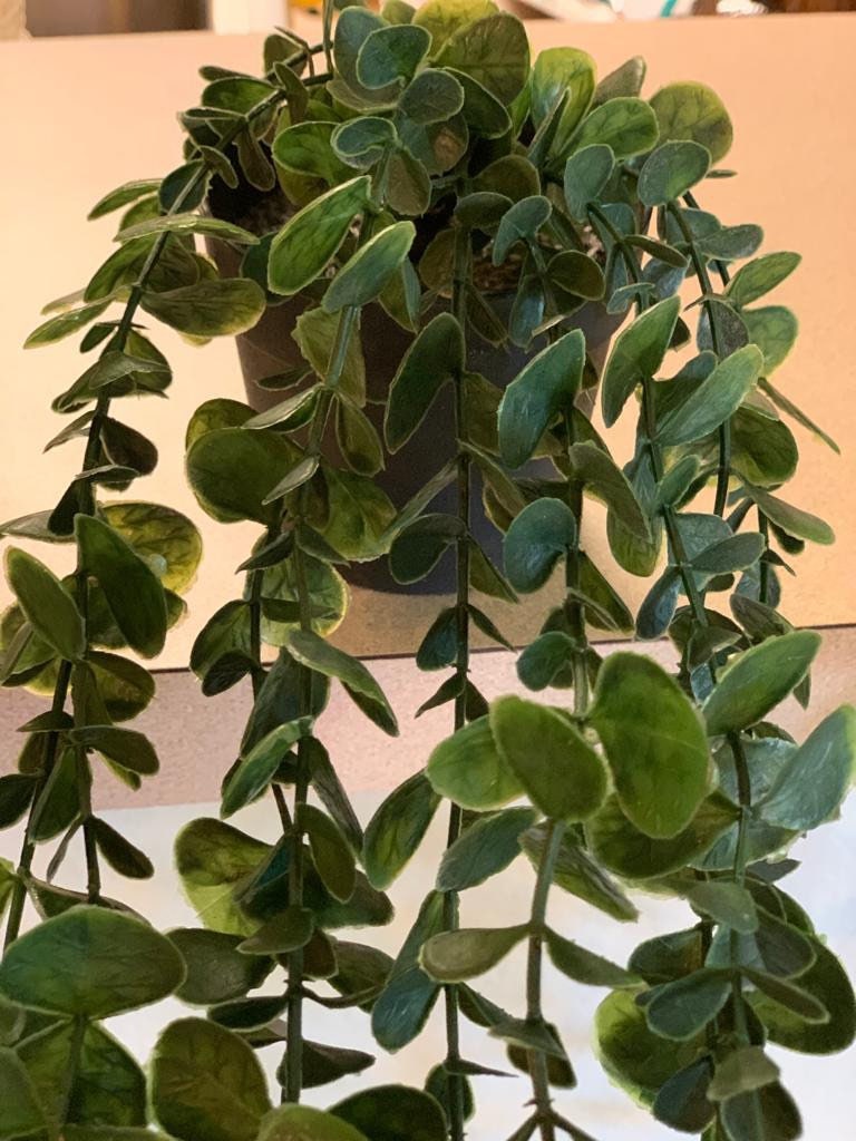 Pianta Artificiale Sospesa Efeutute Con Vaso - Edera Realistica Per Interni Ed Esterni, Resistente Alle Intemperie, Verde, Altezza 42 Cm - 3