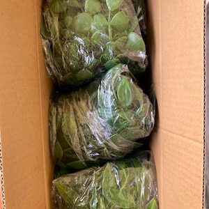 May include: Three bundles of artificial green leaves are packaged in clear plastic wrap and stacked inside a cardboard box.
