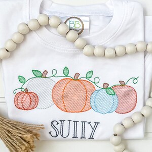 May include: White t-shirt with an embroidered design of four pumpkins with green vines and leaves. The word "SUIIY" is embroidered below the pumpkins.