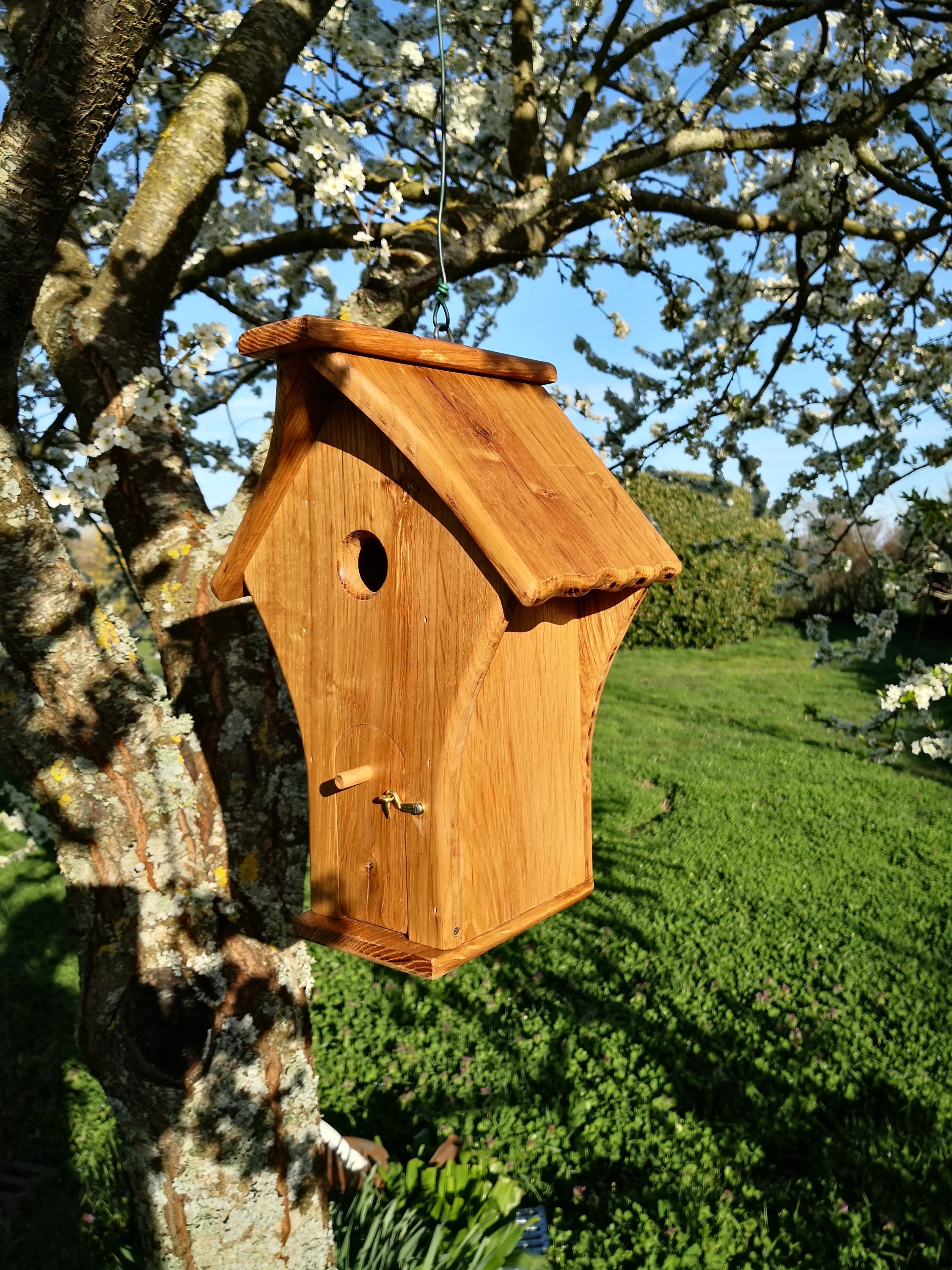 Cabane Oiseaux Nichoir Chêne