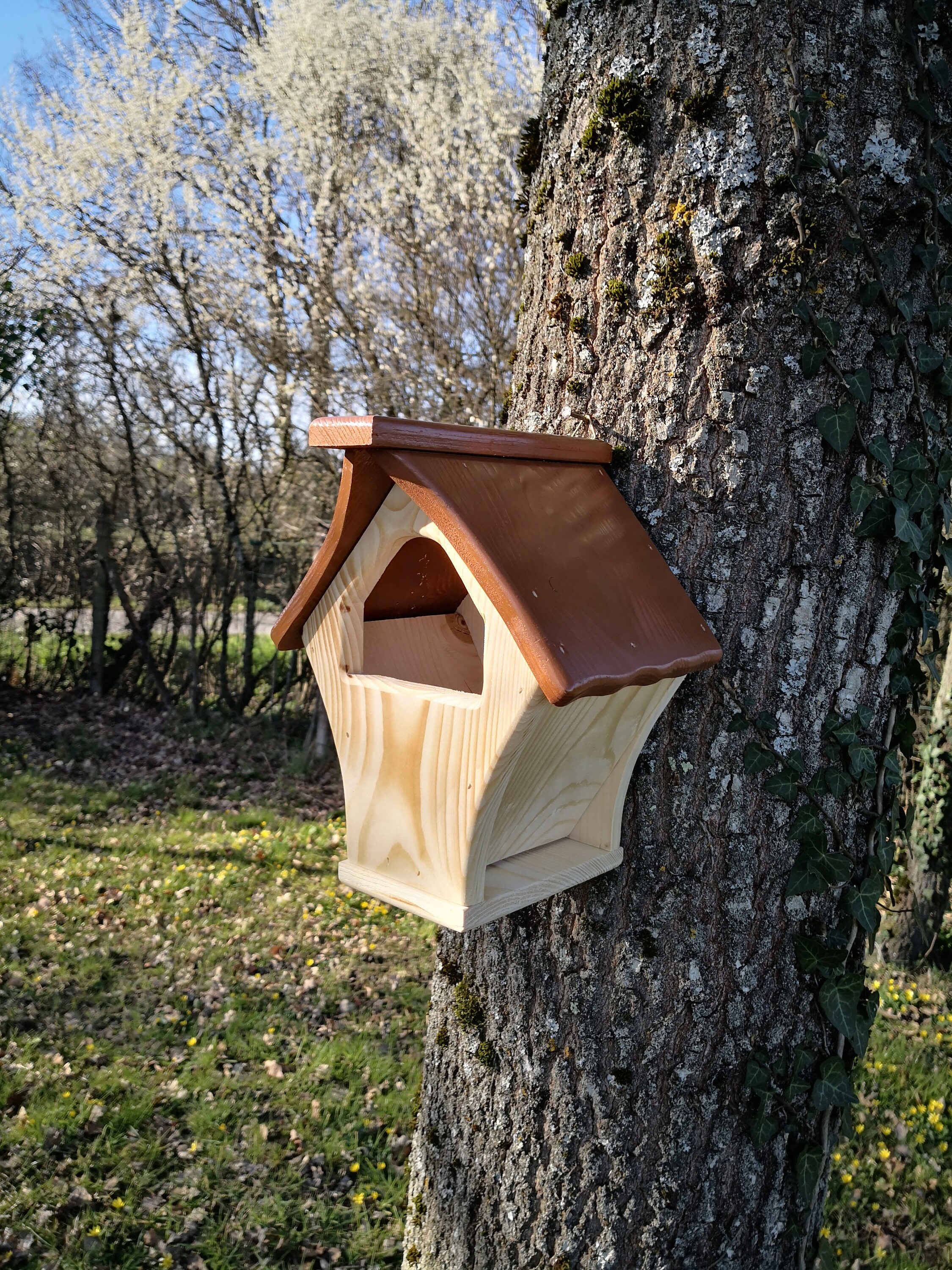 Cabane Oiseaux Nichoir Sapin Toit Marron