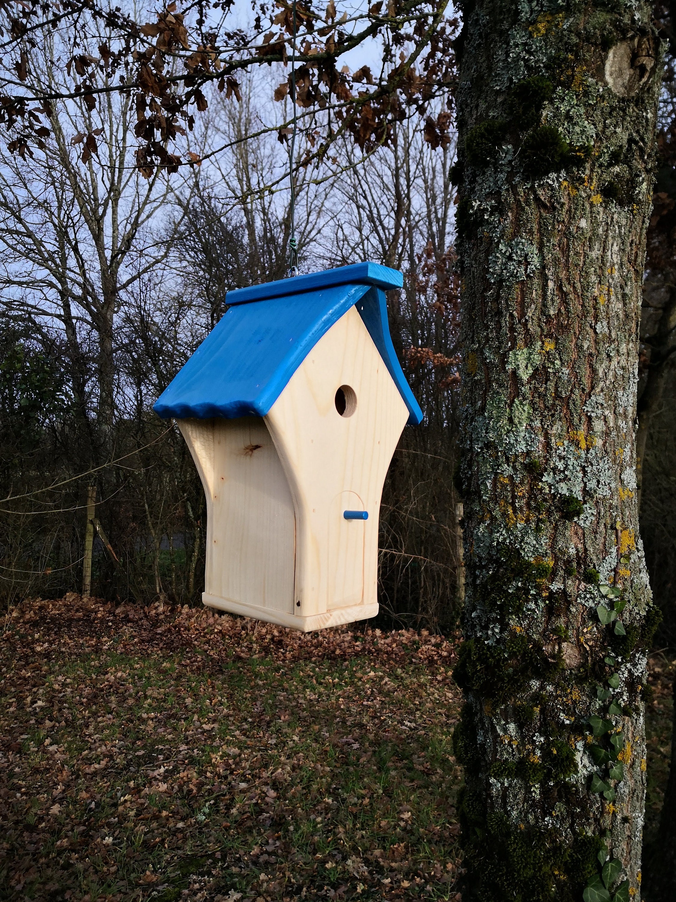 Cabane Oiseaux Nichoir Sapin Bleu Électrique