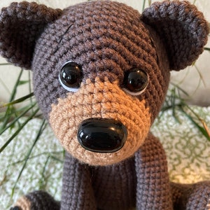 Bernie the Bear With Storybook image 8