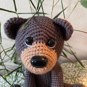 Bernie the Bear With Storybook image 10