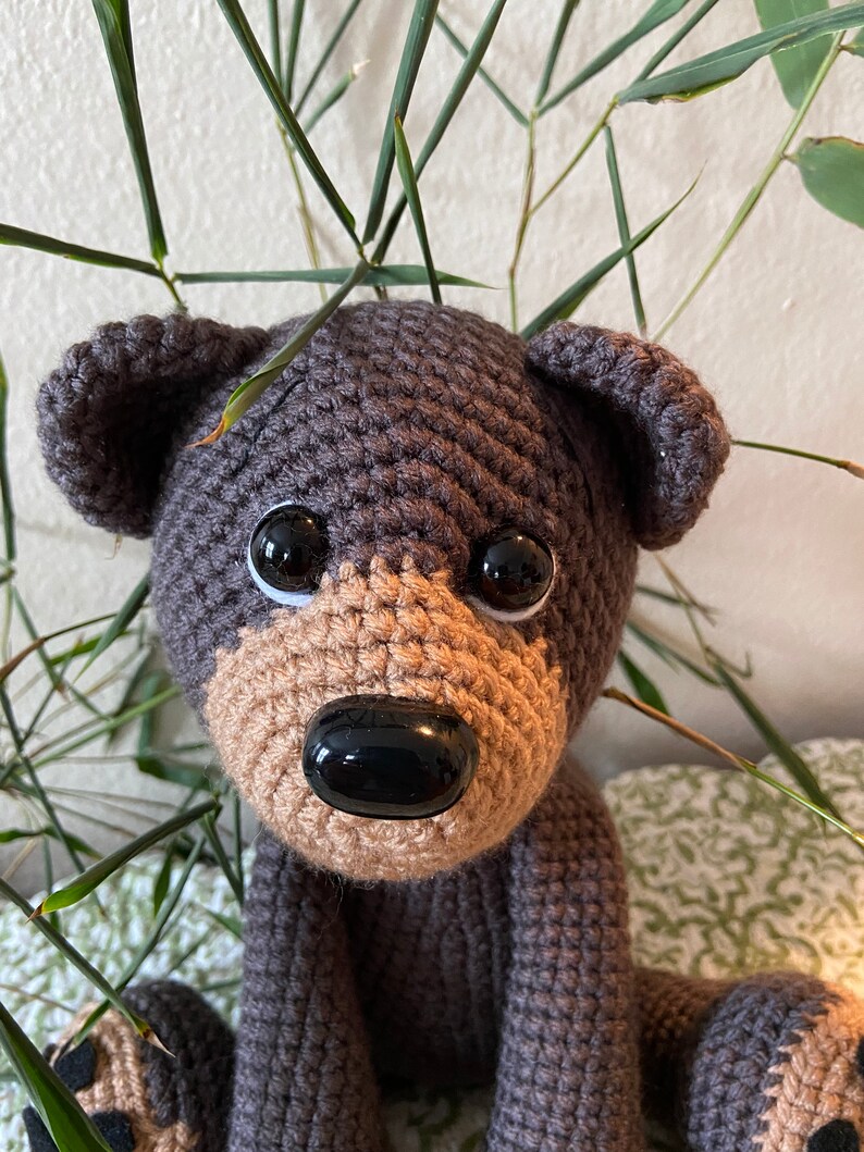 Bernie the Bear With Storybook image 10