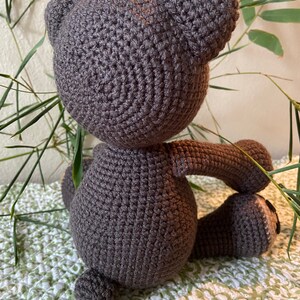 Bernie the Bear With Storybook image 7