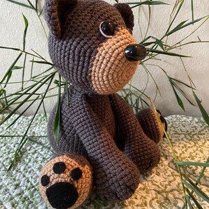 Bernie the Bear With Storybook image 9