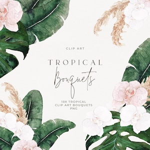 May include: A digital illustration of a tropical bouquet with white and pink orchids, green monstera and banana leaves, and beige pampas grass. The text "CLIP ART TROPICAL Bouquets 10X TROPICAL CLIP ART BOUQUETS PNG" is included in the image.