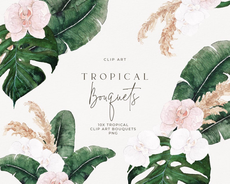 May include: A digital illustration of a tropical bouquet with white and pink orchids, green monstera and banana leaves, and beige pampas grass. The text "CLIP ART TROPICAL Bouquets 10X TROPICAL CLIP ART BOUQUETS PNG" is included in the image.