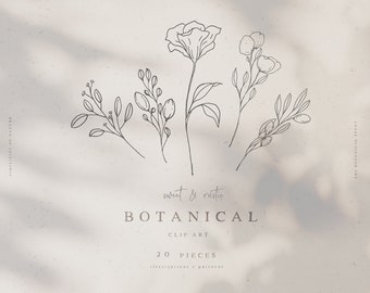 Fine Art botanischer Clip Art - moderne Blumen Illustration - florale Linie Kunst Clipart - minimalistische florale Illustration PNG