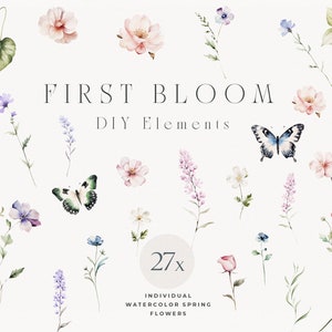 May include: A set of 27 watercolor illustrations featuring spring flowers, butterflies, and leaves. The illustrations are perfect for DIY projects, scrapbooking, and card making. The text "FIRST BLOOM DIY Elements" is displayed at the top of the image.