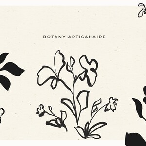 Abstract Botanical Illustration, Abstract Floral Clip Art, Fine Art Flower Drawing, Line Art Flower Clip Art, Hand Drawn Botanical Clip Art image 6