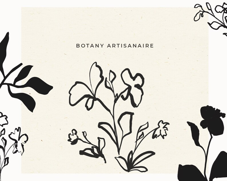 Abstract Botanical Illustration, Abstract Floral Clip Art, Fine Art Flower Drawing, Line Art Flower Clip Art, Hand Drawn Botanical Clip Art image 6