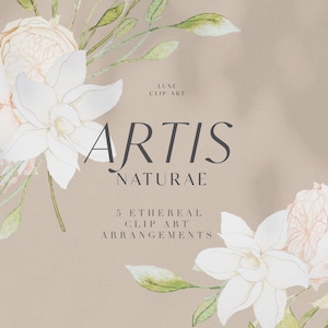Op de afbeelding: Waterverfillustratie van een bloemstuk met witte en roze bloemen en groene bladeren. De tekst "Artis Naturae" en "5 Ethereal Clip Art Arrangements" is in de afbeelding opgenomen.