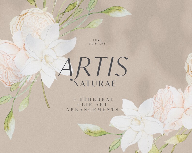 Op de afbeelding: Waterverfillustratie van een bloemstuk met witte en roze bloemen en groene bladeren. De tekst "Artis Naturae" en "5 Ethereal Clip Art Arrangements" is in de afbeelding opgenomen.