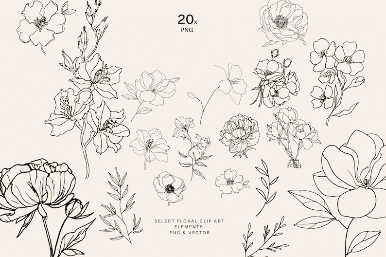 Puede incluir: Un conjunto de 20 dibujos en blanco y negro de diferentes flores y hojas. Las flores incluyen peon&iacute;as, rosas y otros dise&ntilde;os florales. Las hojas son simples y elegantes. Los dibujos son perfectos para usar en proyectos digitales o f&iacute;sicos.