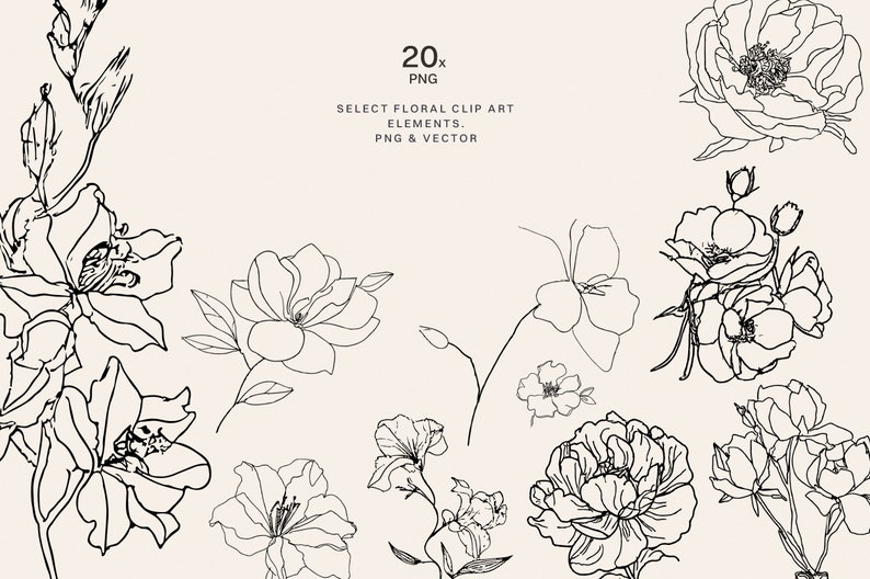 Puede incluir: Un conjunto de 20 dibujos en blanco y negro de diferentes flores, incluyendo rosas, peon&iacute;as y lirios. Las flores est&aacute;n dibujadas en un estilo simple y elegante, y ser&iacute;an perfectas para usar en invitaciones de boda, tarjetas de felicitaci&oacute;n u otros proyectos.