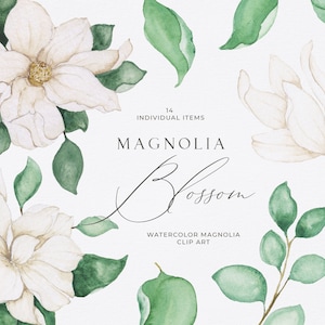 Hand Drawn Watercolor Magnolia Clipart, Spring Flower ClipArt, Handmade Watercolor Magnolia Flowers, Spring Wedding DIY, Magnolia PNG