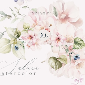 Aquarell Kirschblüte Clipart - Aquarell Sakura PNG - Kirschblüten Arrangement PNG - Aquarell Blumenstrauß - Blush Rosa Floral
