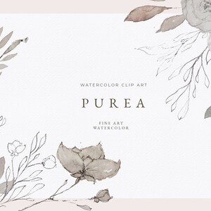 Fine art watercolor clip art and pencil sketches, neutral colors, hand drawn illustrations