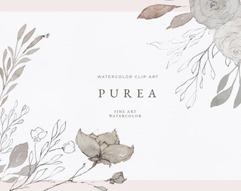 Fine art watercolor clip art and pencil sketches, neutral colors, hand drawn illustrations