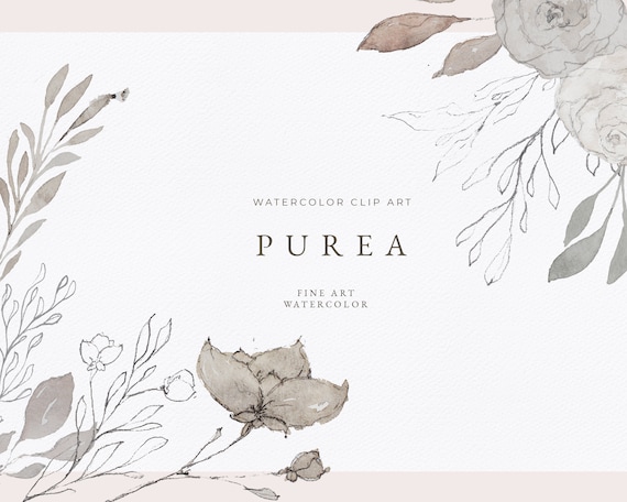 Fine art watercolor clip art and pencil sketches, neutral colors, hand drawn illustrations