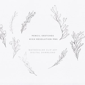 May include: A set of six hand-drawn floral illustrations in a pencil sketch style. The illustrations feature various arrangements of leaves and flowers.