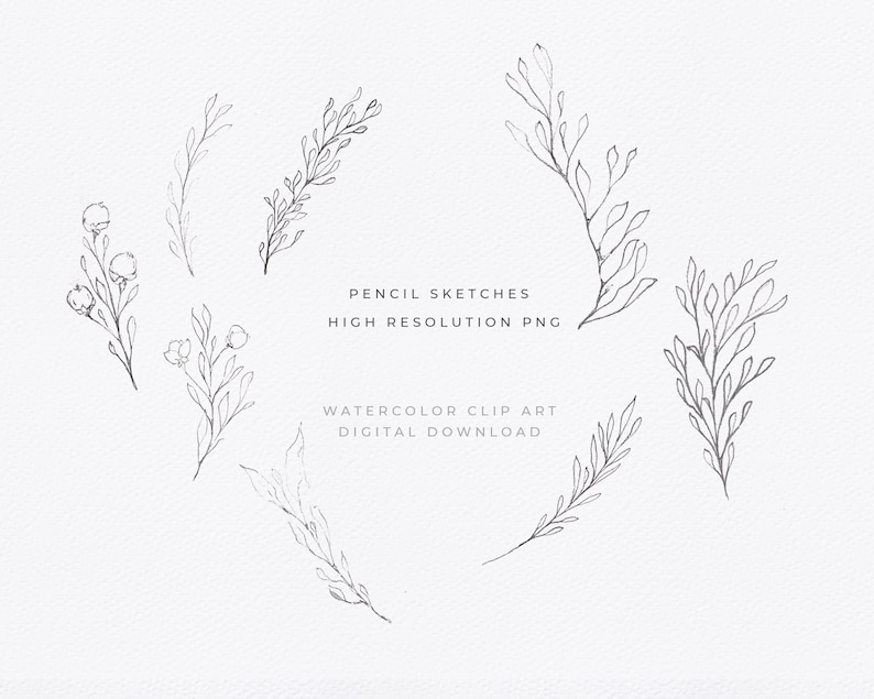 May include: A set of six hand-drawn floral illustrations in a pencil sketch style. The illustrations feature various arrangements of leaves and flowers.