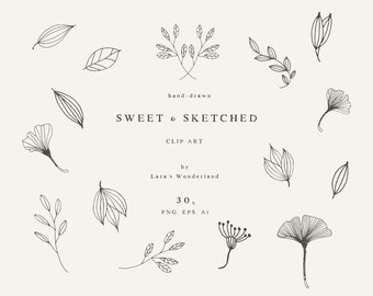 Hand Drawn Rustic Botanical Line Art Sketches, Floral Line Art, Playful Botanical Drawing, Floral Autumn Clip Art, Gingko Leaves Clip Art