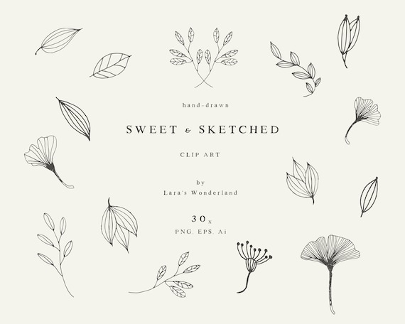 Botanical sale line drawing