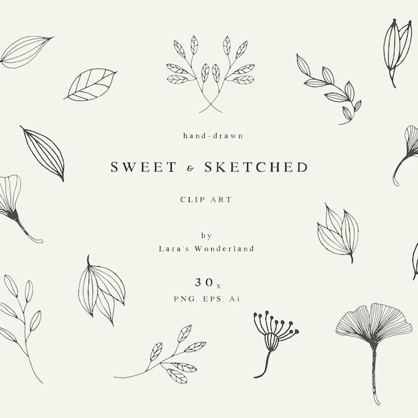 Hand Drawn Rustic Botanical Line Art Sketches, Floral Line Art, Playful Botanical Drawing, Floral Autumn Clip Art, Gingko Leaves Clip Art