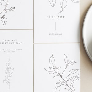 Fine art botanical clip art - fine art wedding - abstract flower illustration - botanical line art - minimalist floral illustrations