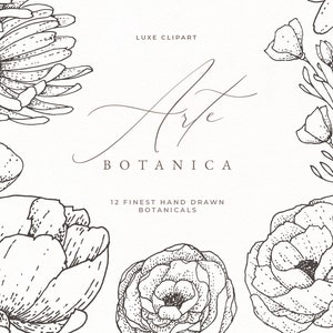 Botanical Line Art Illustration, Modern Floral Illustration, Floral Clip Art, Floral Line Art Drawing, Hand Drawn Flower Clipart