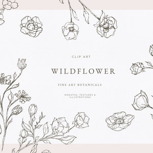 Fine art botanical clip art - fine art wedding - abstract flower illustration - botanical line art - vintage floral clipart