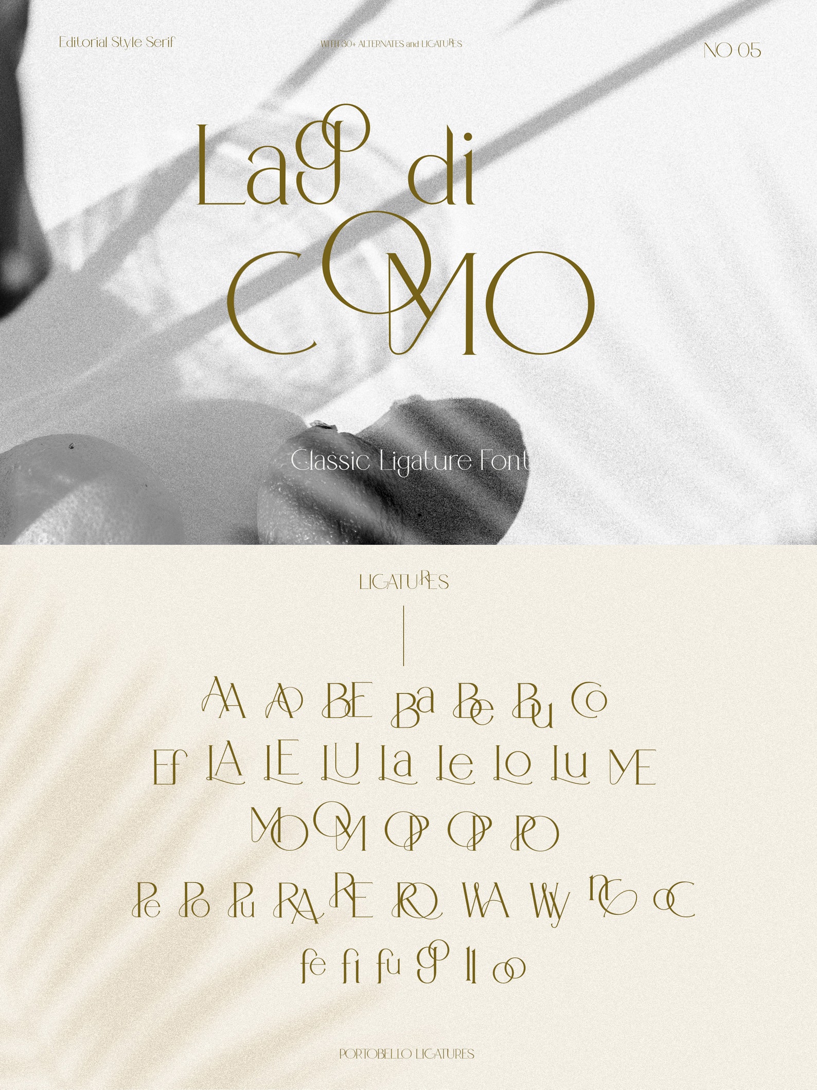 Modern Ligature Font Elegant Font Logo Design Font Display - Etsy