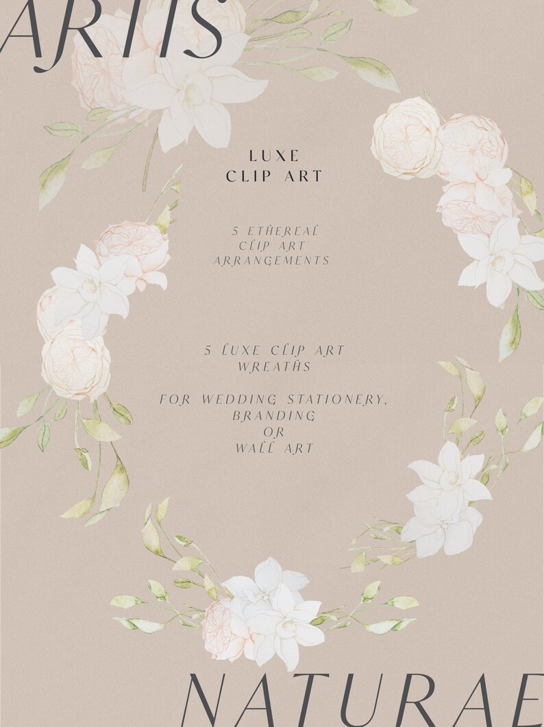 Op de afbeelding: Vijf aquarelbloemkransen en -arrangementen in tinten wit en roze met groene bladeren. De tekst "ARTIS LUXE CLIP ART 5 ETHEREAL CLIP ART ARRANGEMENTS 5 LUXE CLIP ART WREATHS FOR WEDDING STATIONERY, BRANDING OR WALL ART NATURAE" staat op een beige achtergrond.