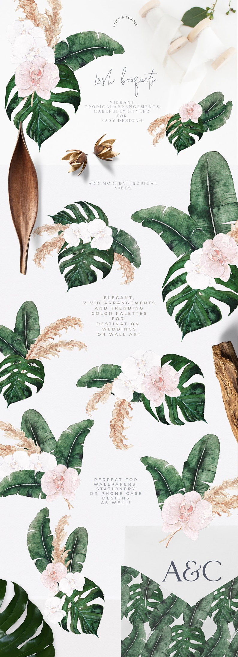 May include: Watercolor illustrations of tropical leaves and orchids in shades of green, white, and pink. The illustrations are perfect for creating invitations, stationery, or phone case designs.
