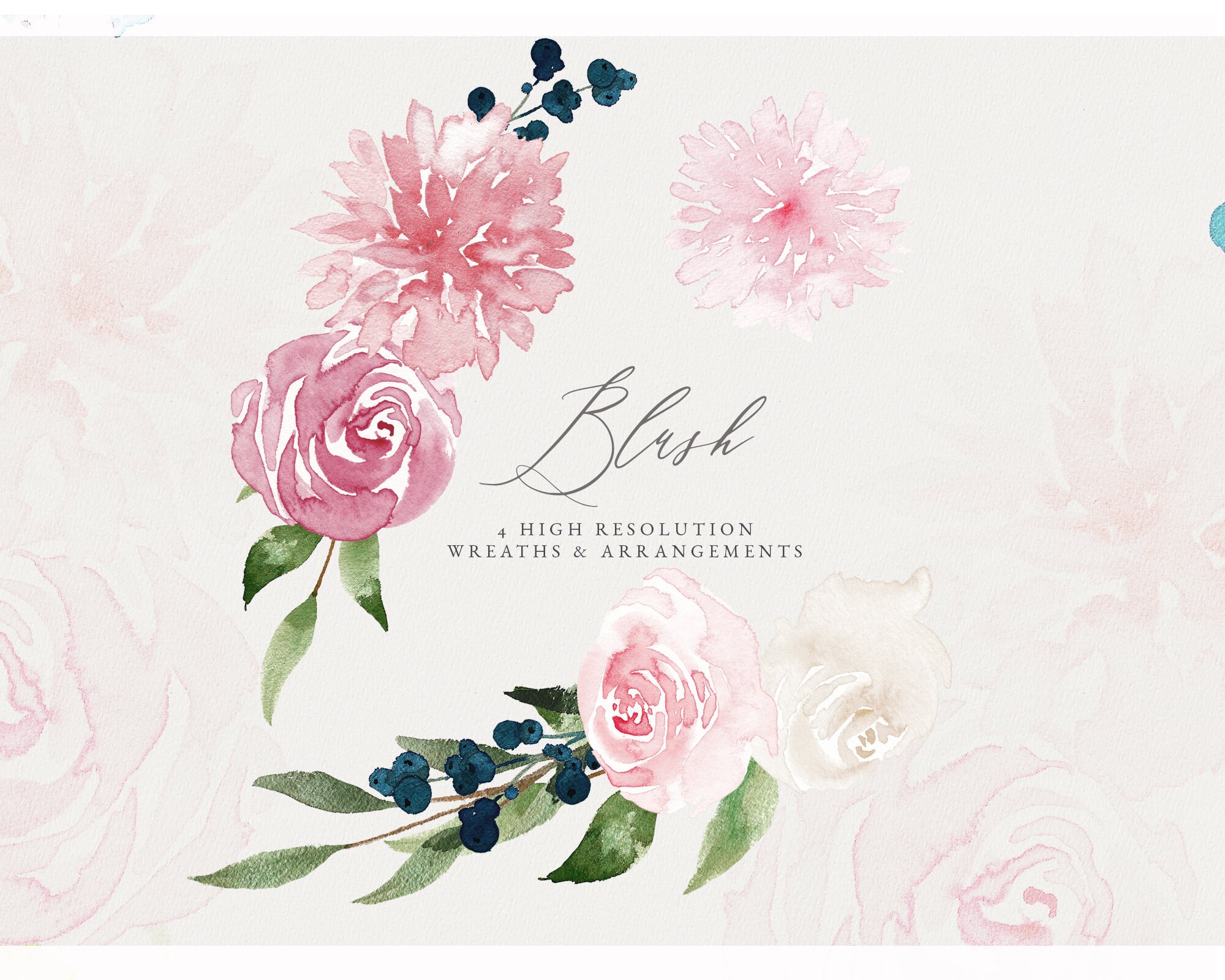 Blush Floral Watercolor Blush Flower Clip Art Blush | Etsy
