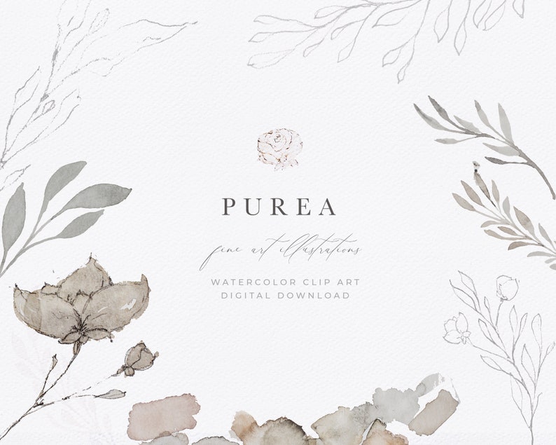 May include: Watercolor illustrations of various floral elements in shades of gray and brown. The text "PUREA fine art illustrations WATERCOLOR CLIP ART DIGITAL DOWNLOAD" is displayed below the floral elements.