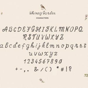 Whimsy Handwriting Hand Lettered Font, Handwritten Notes Font, Hand Lettered Font ...