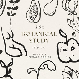 Abstract Botanical Clip Art - Abstract Flower Illustration - Modern Botanical Clipart - Minimalist Floral Drawing - Abstract Female Body