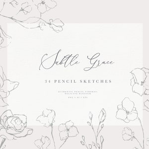 Fine art clip art, floral pencil sketches, hand drawn floral line clipart, botanical line art, floral wedding clip art, fine art botanical